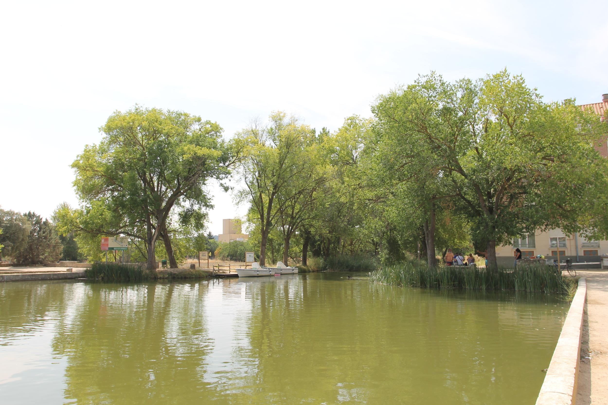 Darsena de Palencia, Canal de Castilla