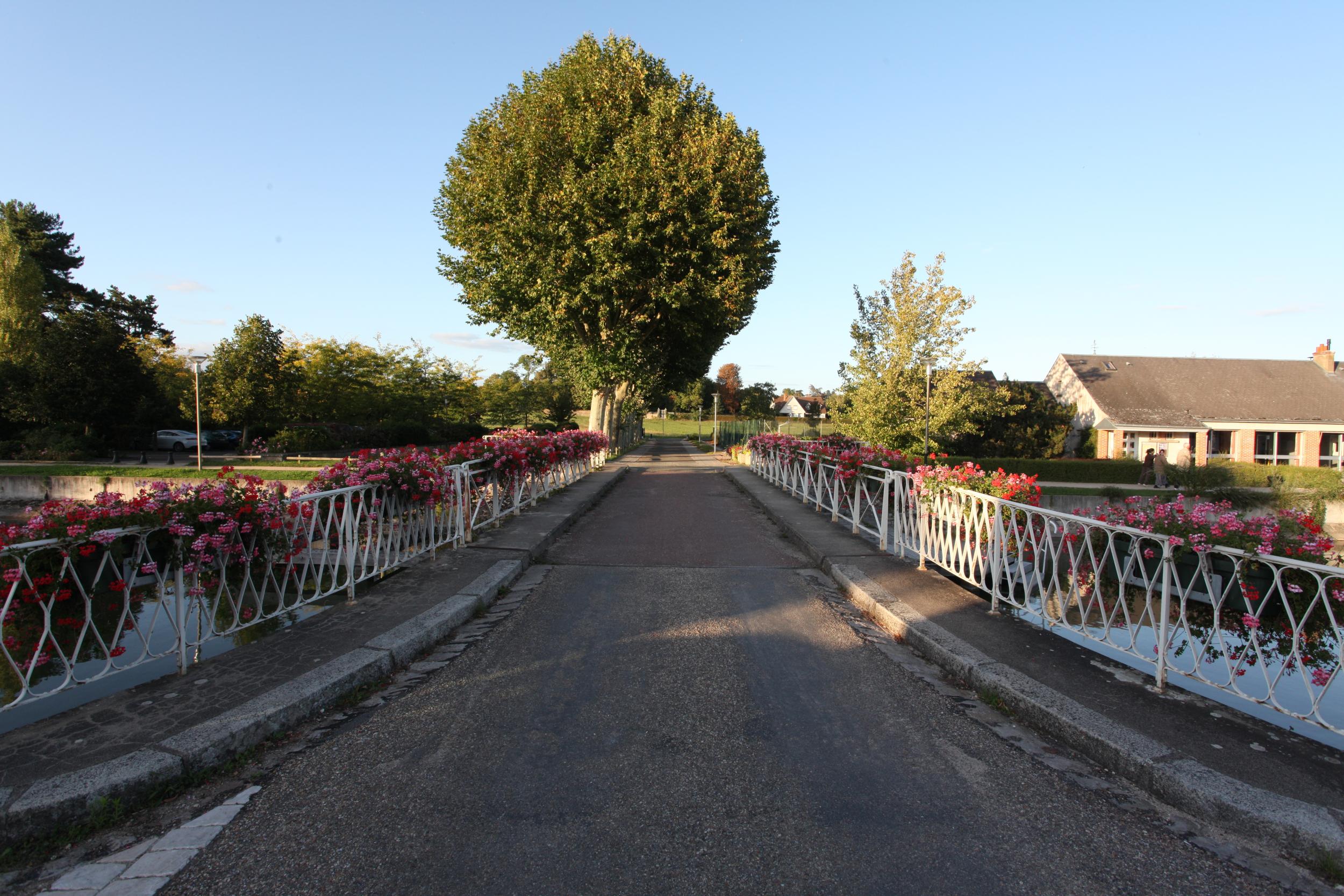 Draaibrug Combleux, Canal d'Orleans