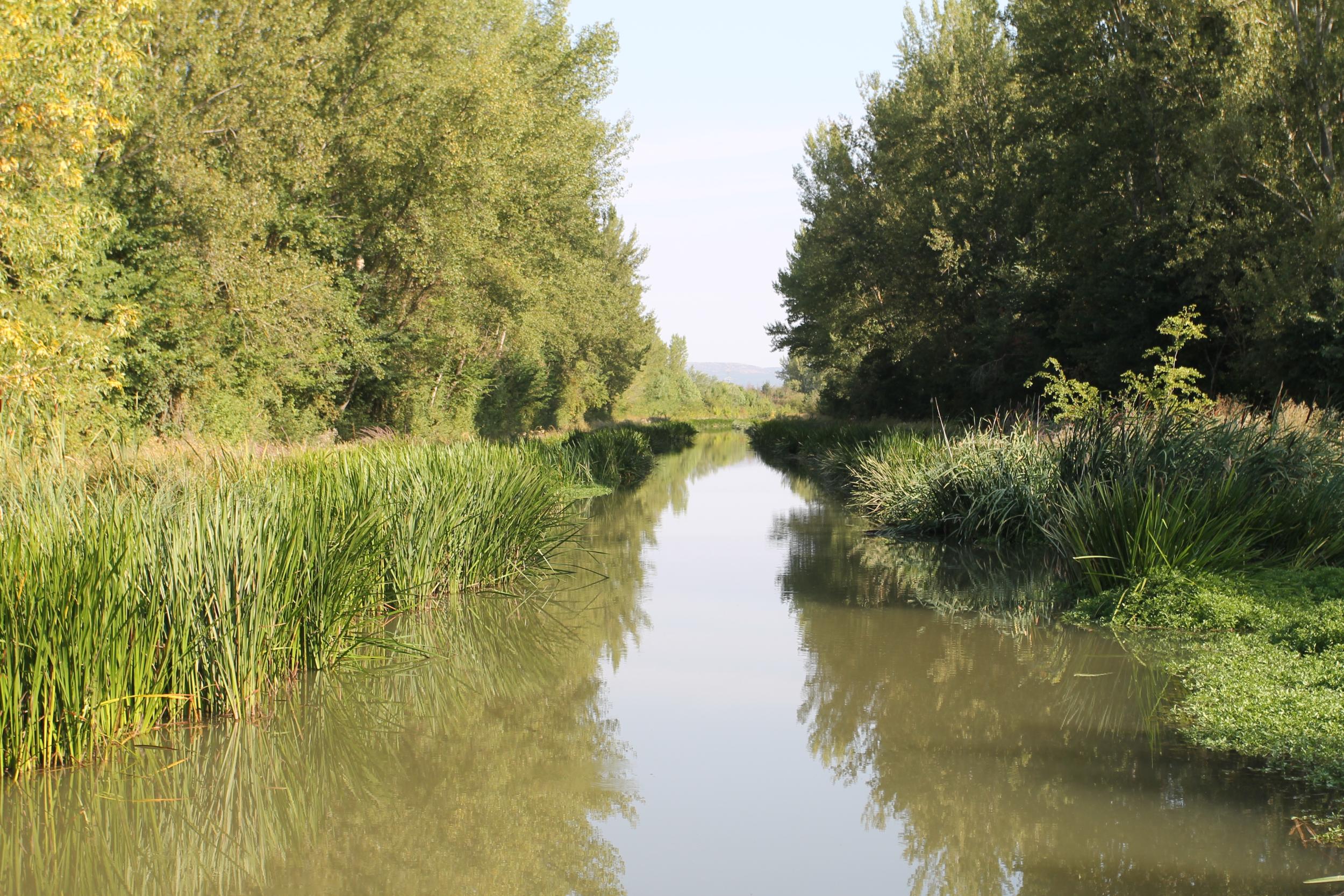 Esclusa 5 Canal de Castilla