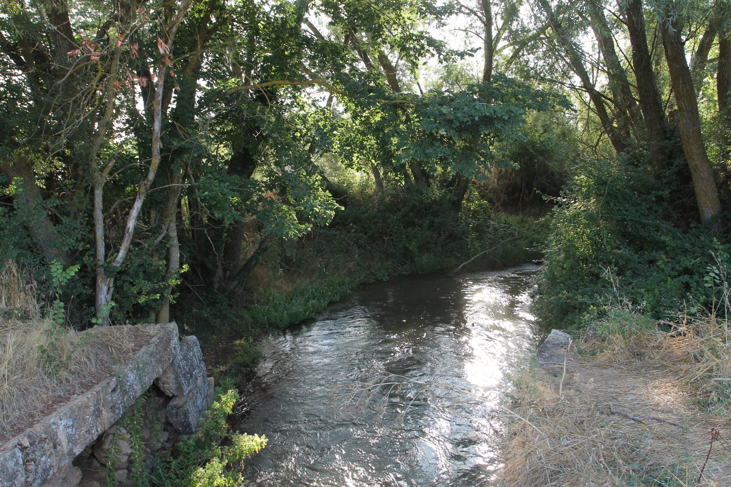 Esclusa 8 Canal de Castilla